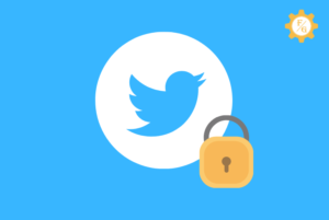 How to View Protected Tweets Without Following on Twitter [Fixed